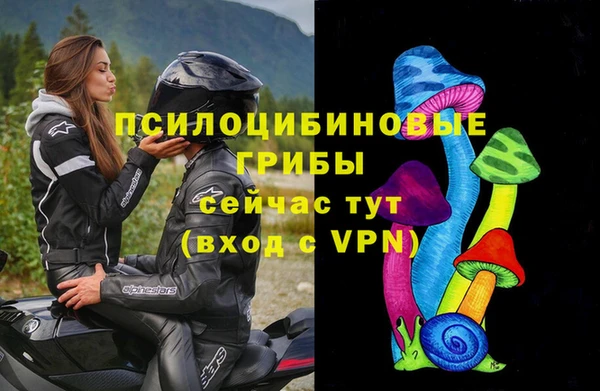прущая мука Арсеньев