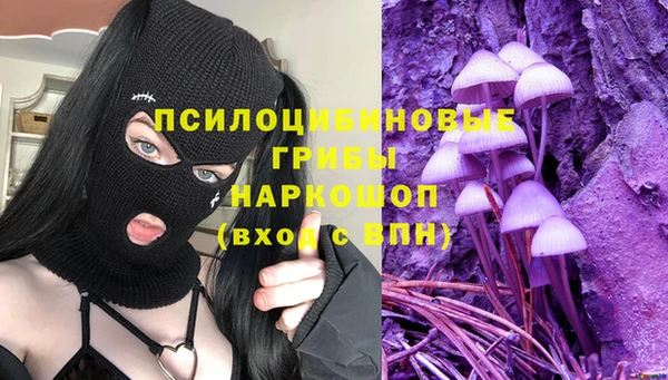 кокс Аркадак