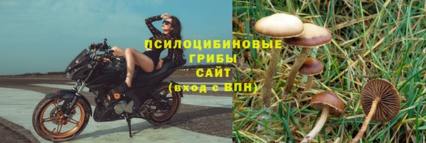 прущая мука Арсеньев
